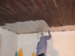 A pintar o tecto