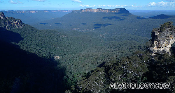 The blue tint of the Blue Mountains is the result of the vapour from eucalyptus trees