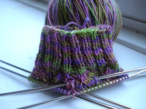 knitting 312