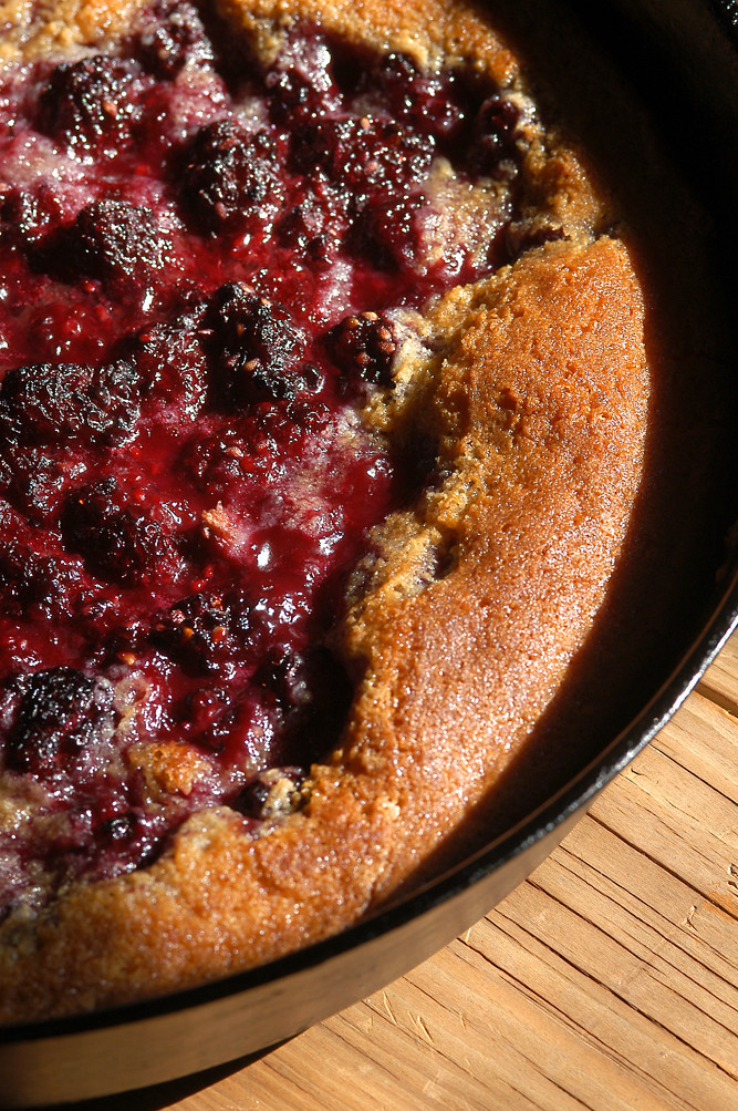 blackberries in the pan
