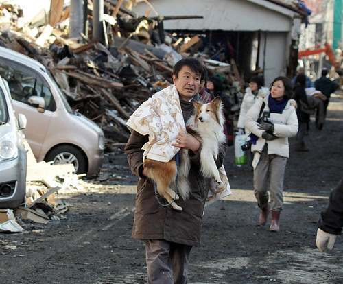 Japan: earthquake aftermath by RECORDED PICTURES