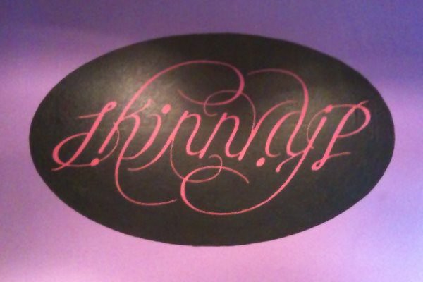 "SkinnyDip" Ambigram Logo - painted
