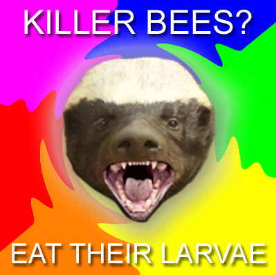 funny honey badger pictures. honey badger badass funny