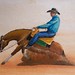 Cowboy Reining Competition