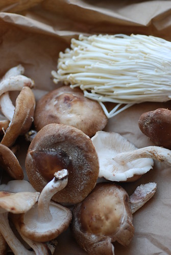 shiitake & enoki mushrooms