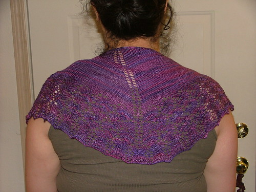 Winter 2010 Knitting Projects 067
