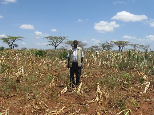 Bro. Dominic Malonza stands in his failed maize crop. But he was blessed with some beans which his family is enjoying now. He has shared some with us.