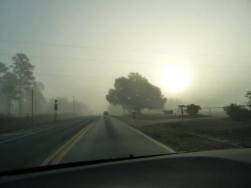 Foggy February Morning
