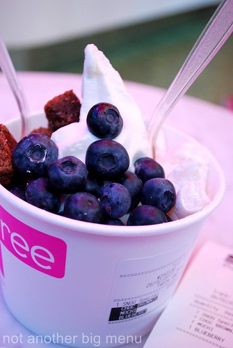 Snog frozen yoghurt - spiced apple, blueberries, brownies and mochi