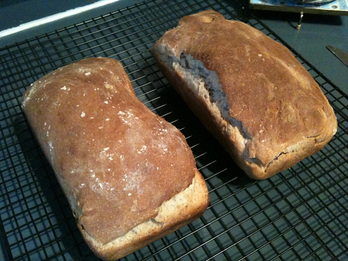 Two sourdough loaves