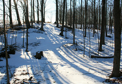 snow shadows 2011-03-06 027