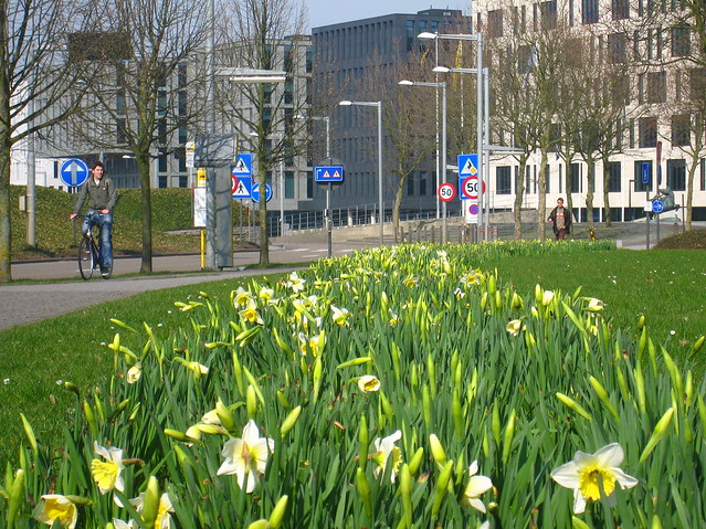 Spring in Louvain