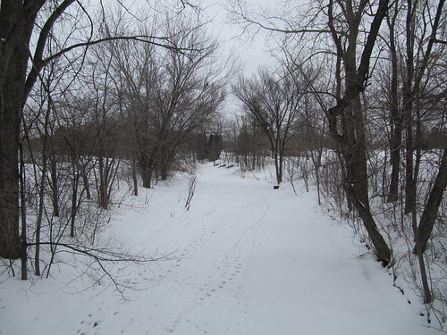 Frozen Shingle Creek