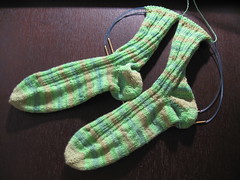 hideous socks