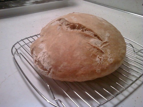 Bread 8