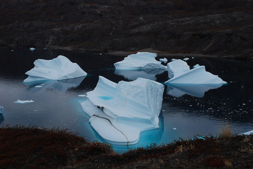 The "Iceberg Graveyard," R¿de Island, F¿hnfjord, Scoresby Sund, 