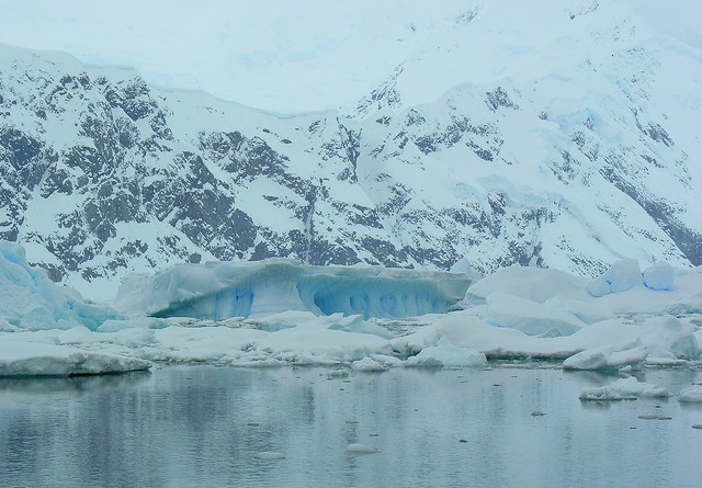 ANTARCTICA2010-490 Andvord Bay 南極 Andvord灣