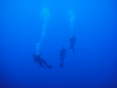 ハワイ島ブルーウォーターダイビング