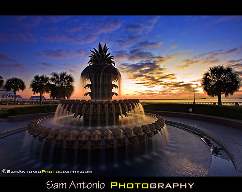 Having a Sweet Time at the Pineapple Fountain by Sam Antonio Photography