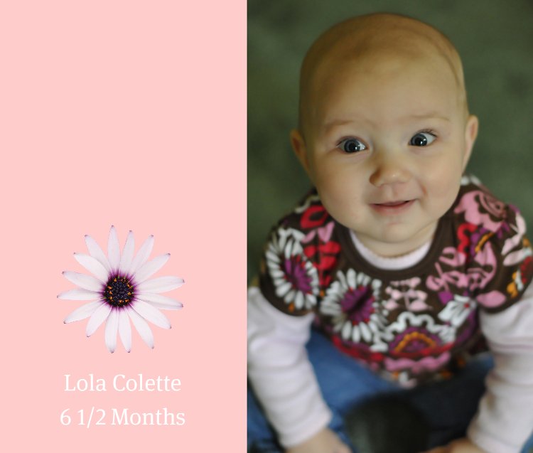 Lola 6.5 months
