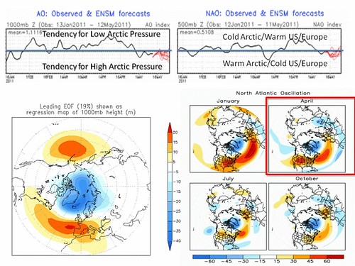 AO and NAO past behavior and forecasts