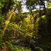 Millers Dale_270807_0013