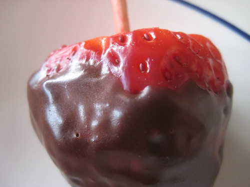 Fresa con chocolate by [the citrus fruit girl]