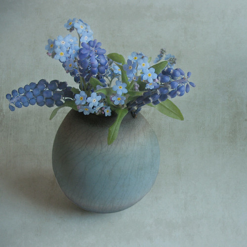 フリー写真素材|花・植物|ユリ科|ムスカリ|勿忘草・ワスレナグサ|花瓶|青色の花|