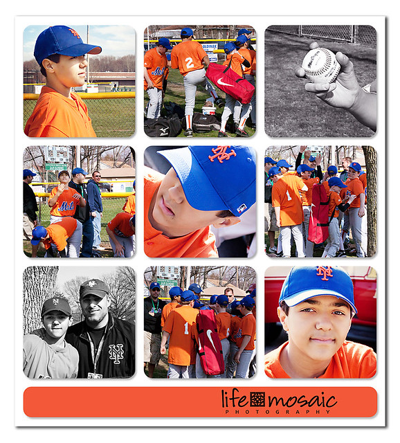 Opening Day Baseball 2011 Field Collage