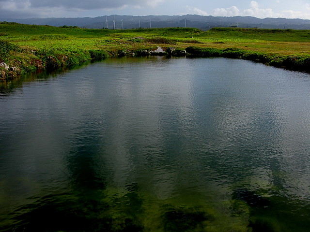 Freshwater pond in Kahuku