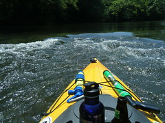 Saluda River Paddle-47