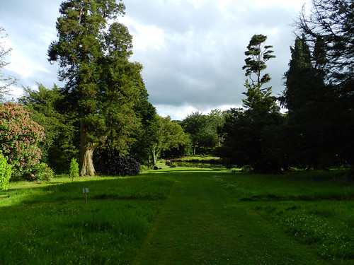 Kilmacurragh Arboretum