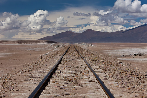 Tracks In the Altiplano #1