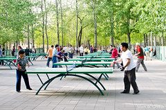 Ping Pong in the Park