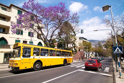 Bus in Funchal, Madeira