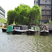 Okobe: Canon Powershot D10, Regents Canal, London