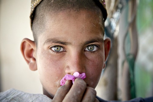 フリー写真素材|人物|子供|少年・男の子|人と花|アフガニスタン人|