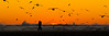 End of the day beach style (panorama)