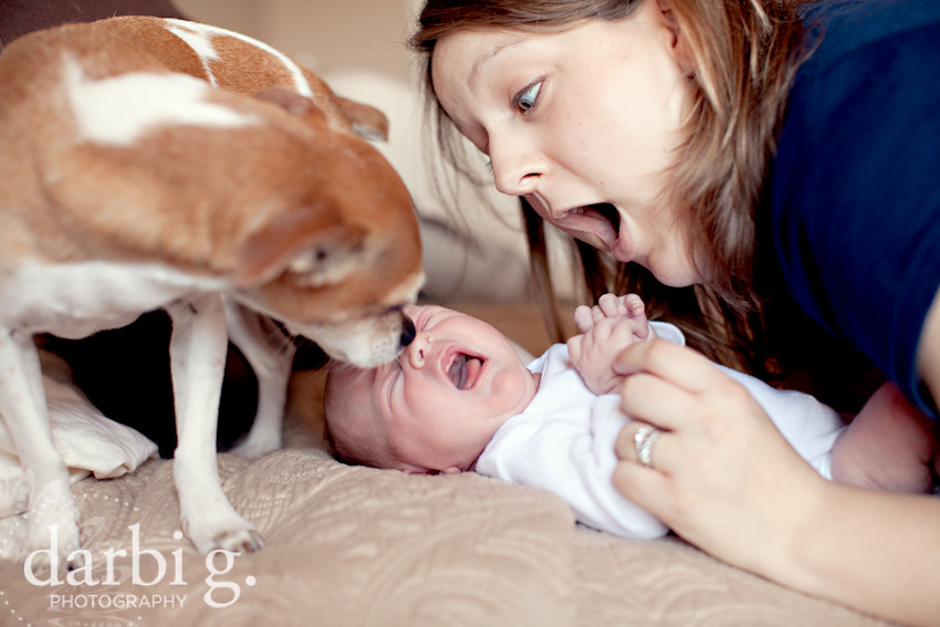 DarbiGPhotography-Kansas City newborn photographer-031511-MY-117