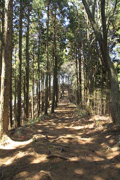 陣馬山への道