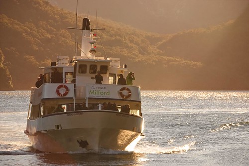 Milford Sound Cruise