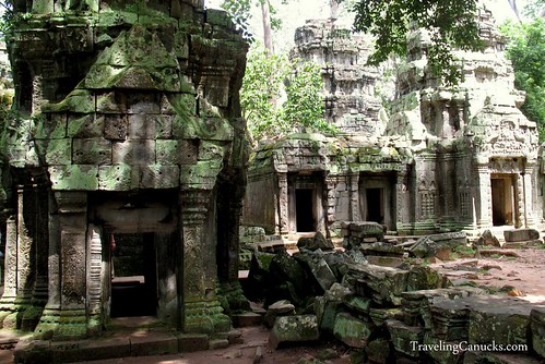 Temples in the Jungle of Angkor