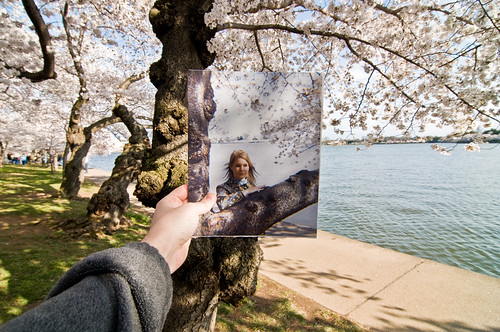 11-04-01 - Cherry Blossoms - Flashback of Mom