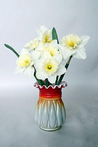 birthday daffodils by Elli :-)