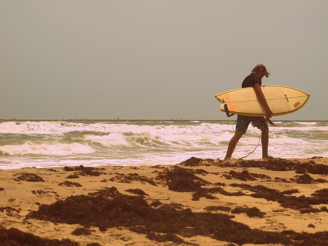 surfer.