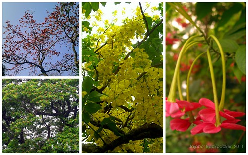Flower Trees Collage