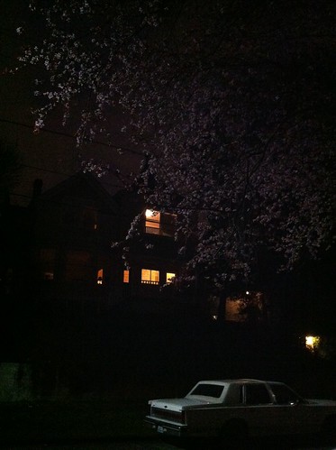 spring evening 2011