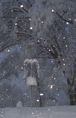 bird feeder snow