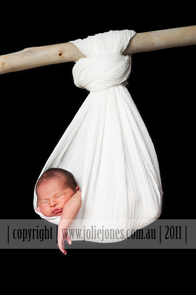 Canberra ACT Newborn Photographer Photography Pictures