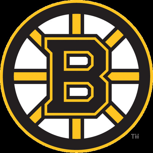 boston bruins suck. for the Boston Bruins,